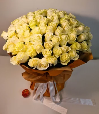 20231005 185758 scaled 1