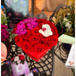 Lumii 20230709 141529214