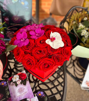 Lumii 20230709 141529214