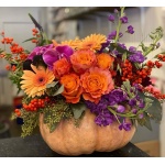 bosii 9e4a8ca43c22e963447232f740ac758f enhance 4x scaled 1