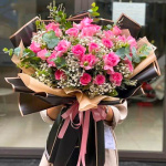 gypsophila dreamscape