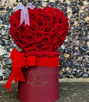 Romantic Rose Heart 1