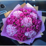 Bombastic Hydrangeas