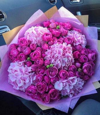 Bombastic Hydrangeas