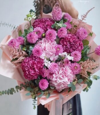 Dahlia Dreams