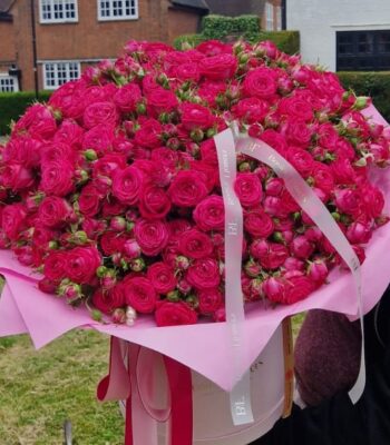 IMG 20240915 WA0083 1