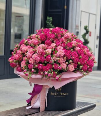 WhatsApp Image 2025 07 10 at 13.43.35 a4e71da5