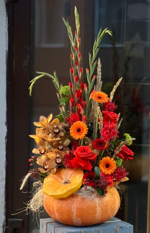 Harvest Pumpkin Harvest Pumpkin