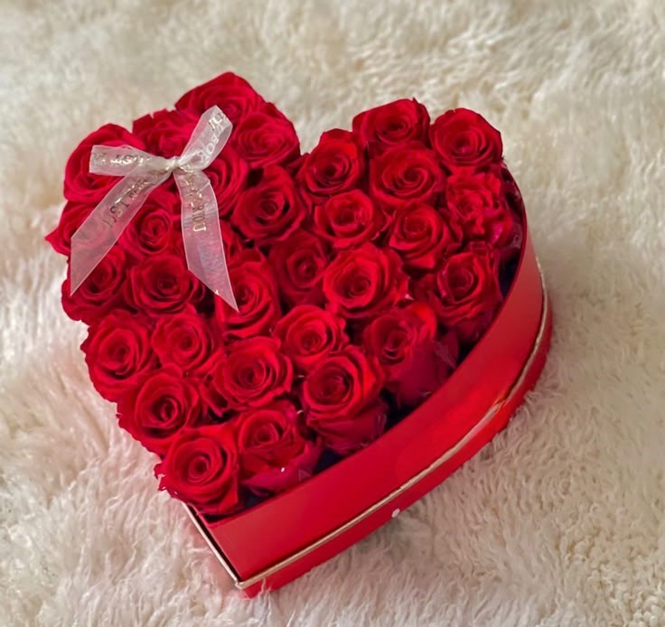 e07081a1e2a1f8ae2b9f1b63d121d7c0