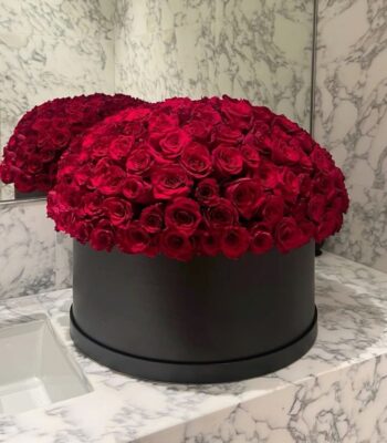 fba180c5abdfafe406d57e49c045dd61